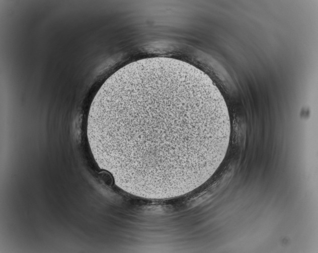 X0000102340404200808291142