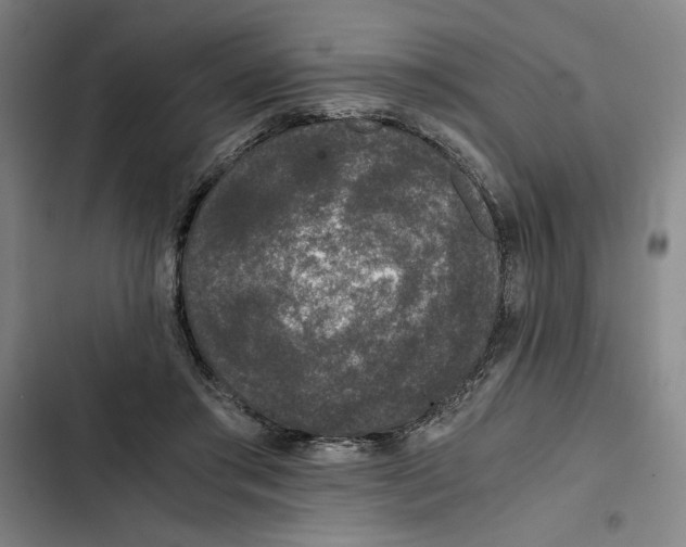X0000102340405200808291142