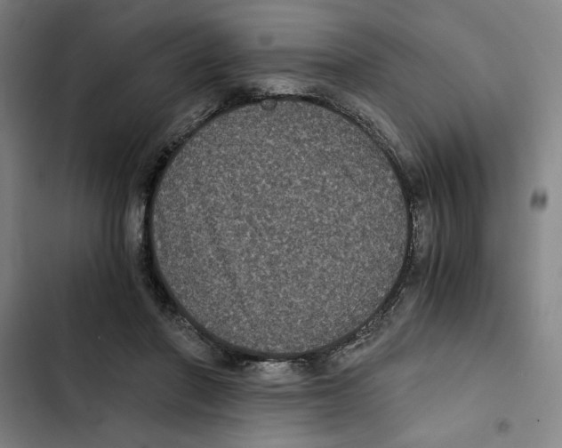 X0000102340406200808291142