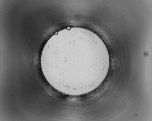 X0000102340407200808291142