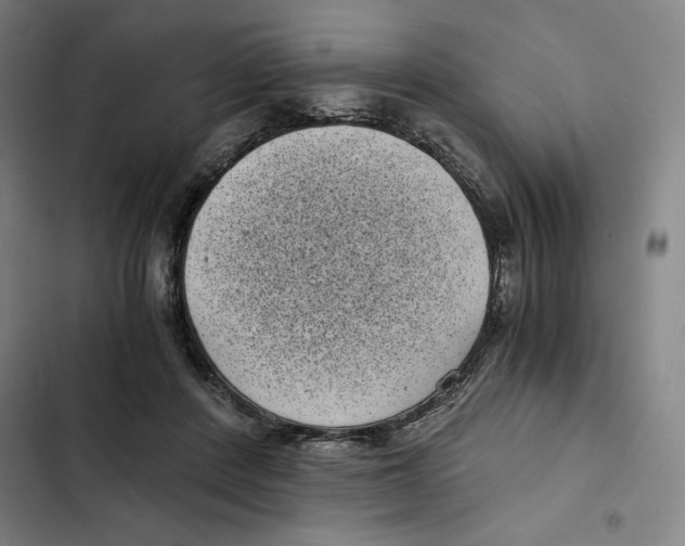 X0000102340408200808291142
