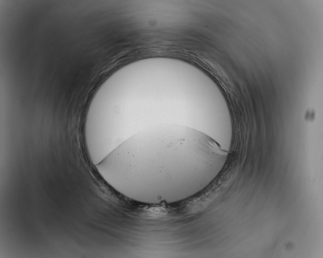 X0000102340409200808291142