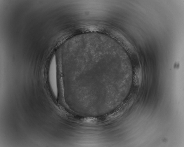 X0000102340410200808291142