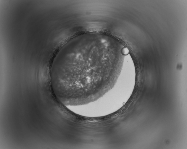 X0000102340411200808291142