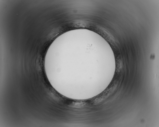X0000102340414200808291142
