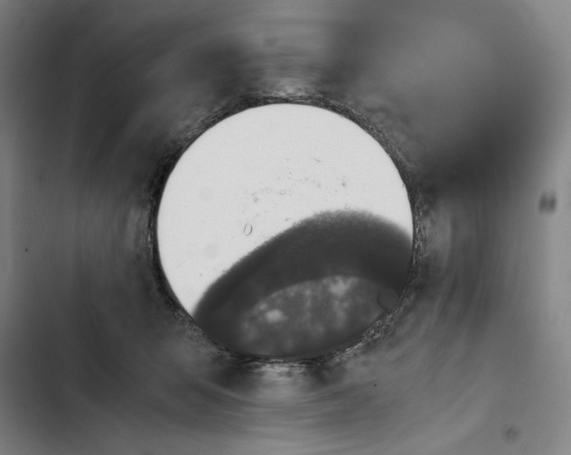 X0000102340415200808291142