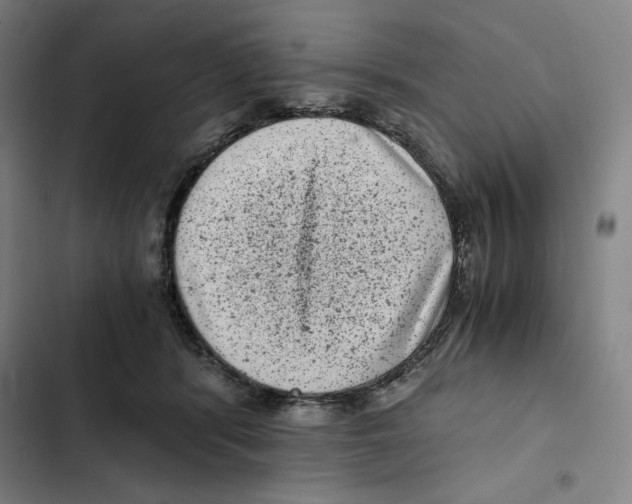 X0000102340416200808291142