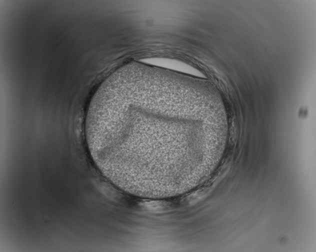 X0000102340417200808291142