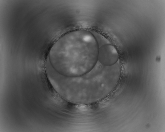 X0000102340419200808291142