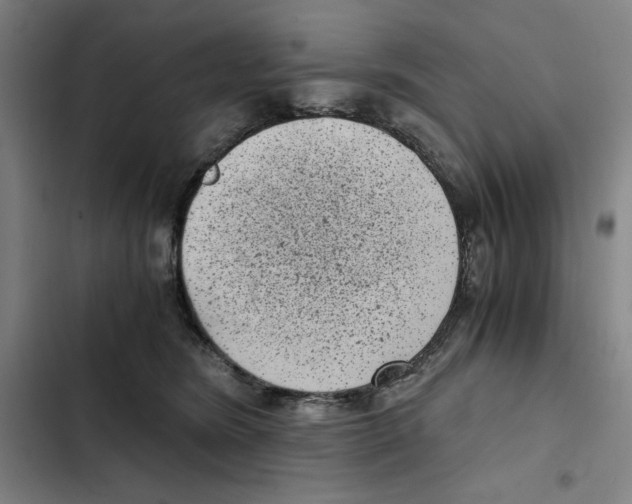 X0000102340420200808291142