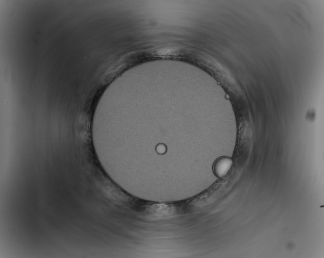 X0000102340421200808291142