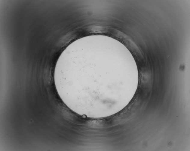 X0000102340422200808291142