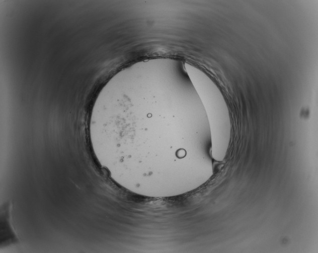 X0000102340423200808291142