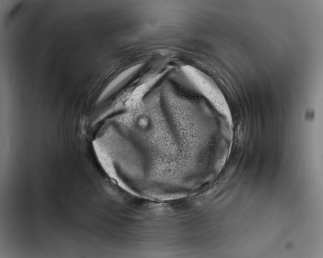 X0000102340424200808291142