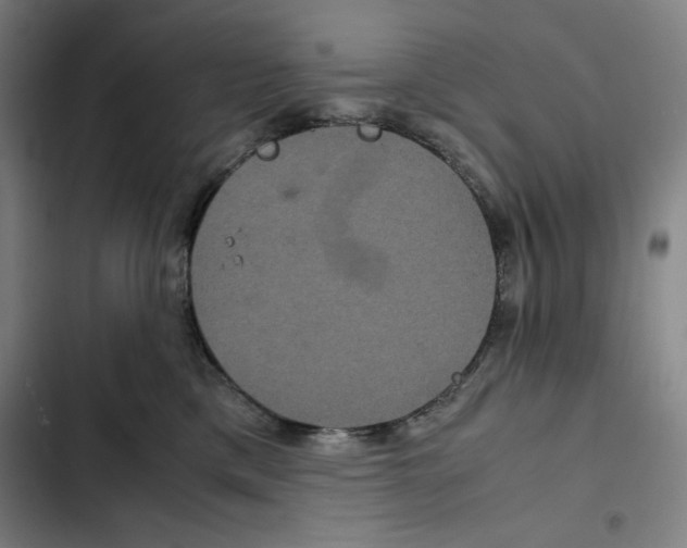 X0000102340425200808291142
