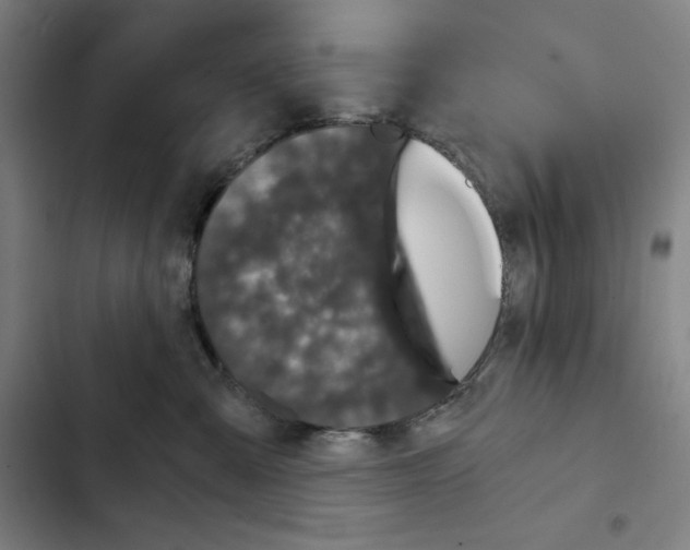 X0000102340427200808291142