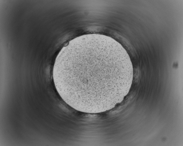 X0000102340428200808291142