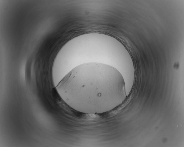 X0000102340429200808291142