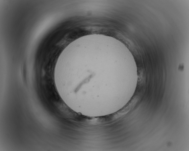 X0000102340430200808291142