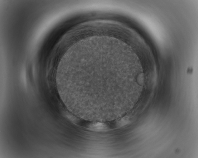 X0000102340431200808291142