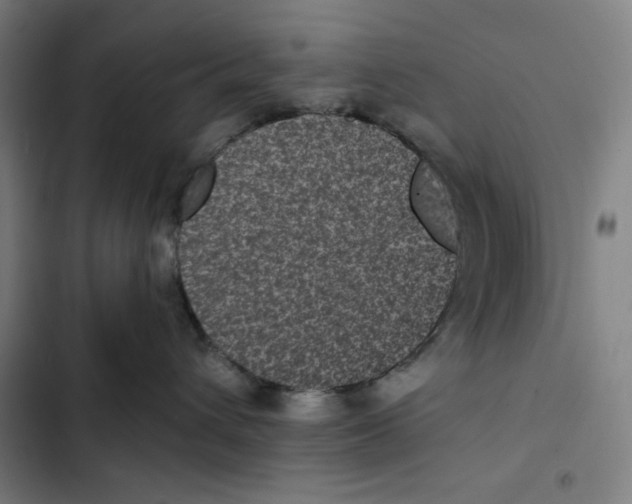 X0000102340432200808291142