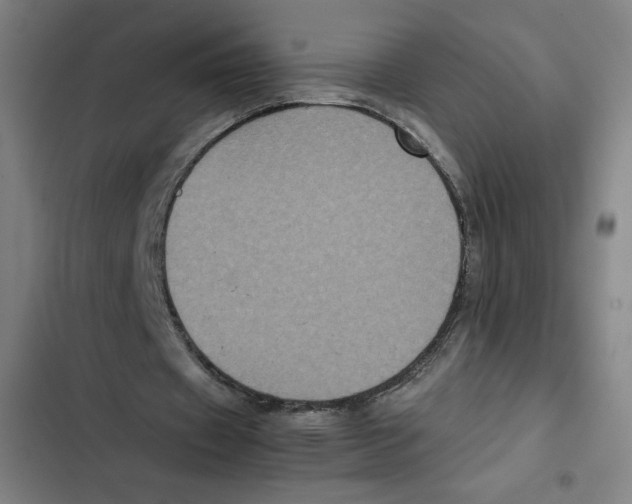 X0000102340433200808291141