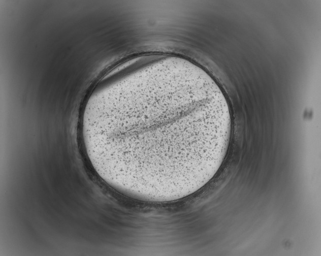 X0000102340434200808291141