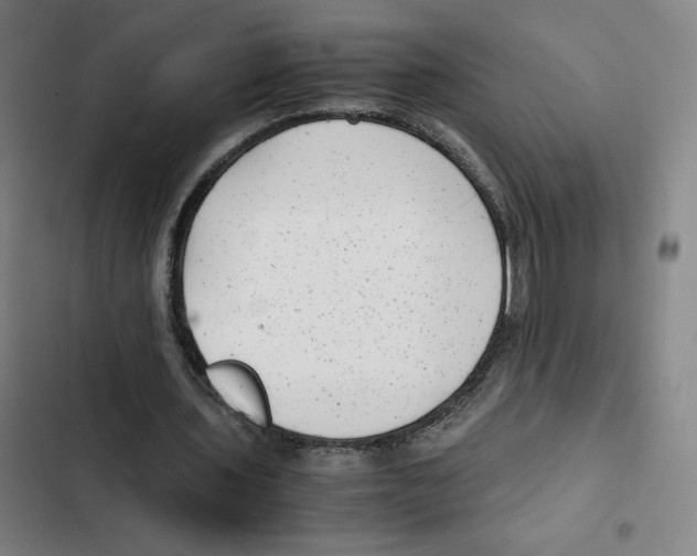 X0000102340435200808291141