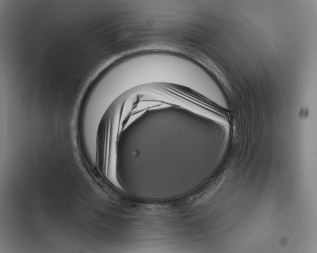 X0000102340436200808291141