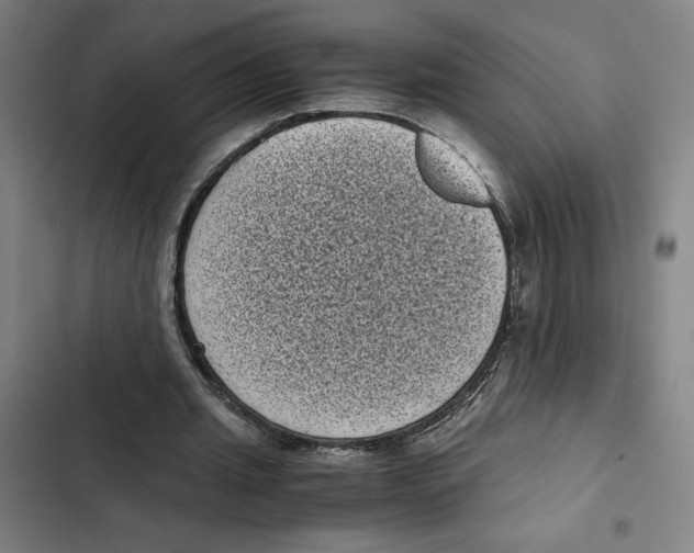 X0000102340437200808291141