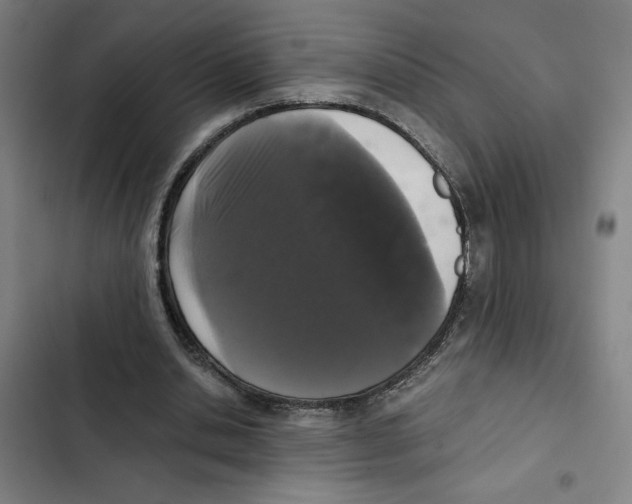 X0000102340438200808291141