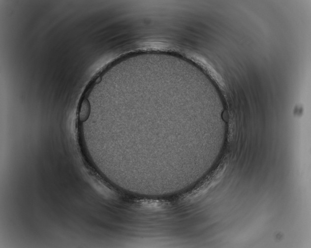 X0000102340439200808291141
