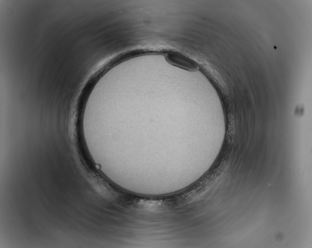 X0000102340440200808291141