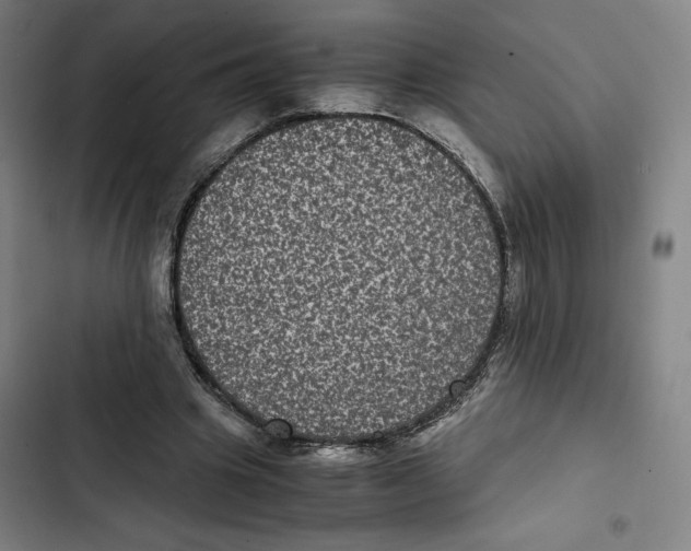 X0000102340441200808291141