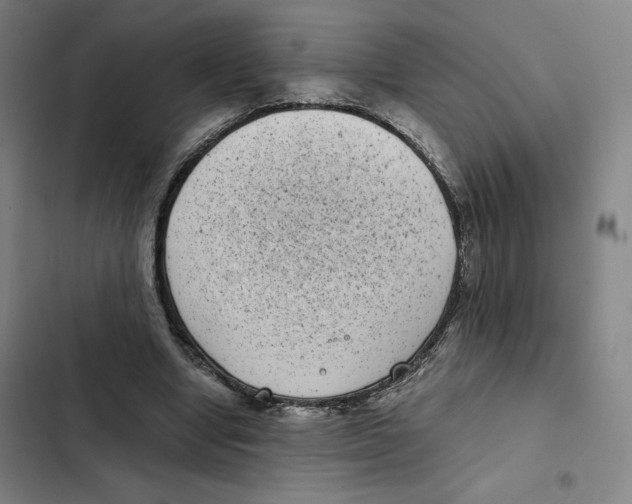 X0000102340442200808291141