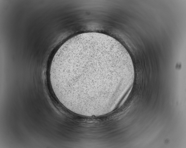 X0000102340443200808291141