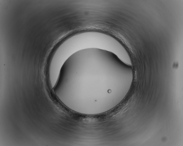 X0000102340444200808291141