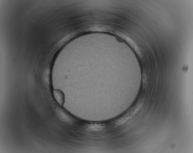 X0000102340445200808291141