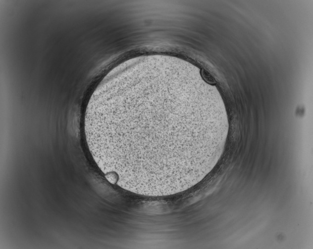 X0000102340446200808291141
