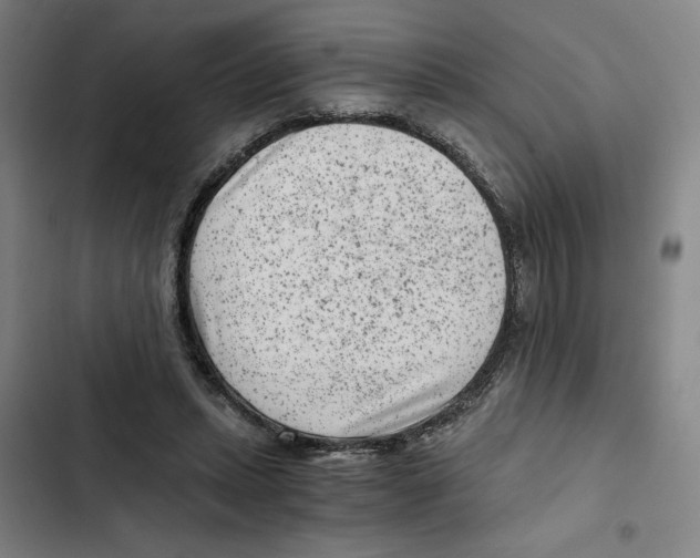 X0000102340447200808291141