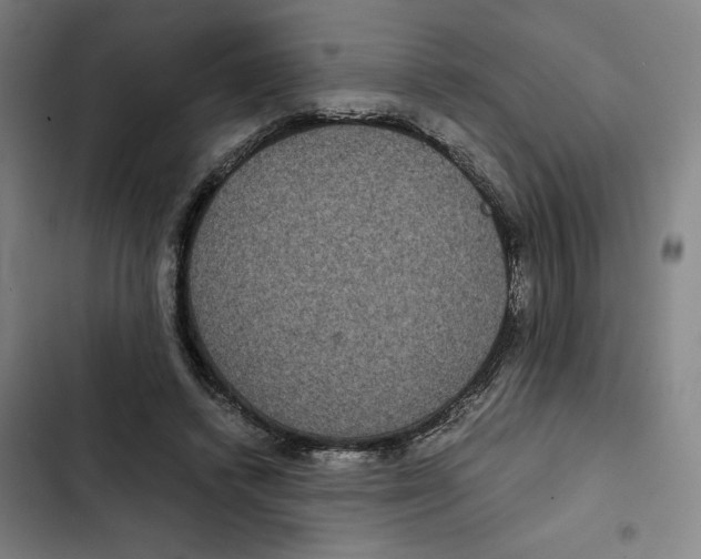X0000102340448200808291141