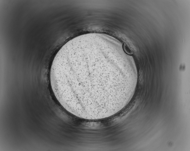 X0000102340449200808291141