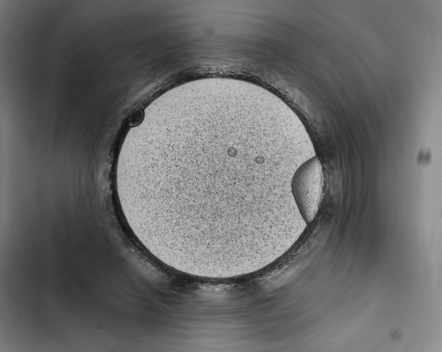 X0000102340450200808291141