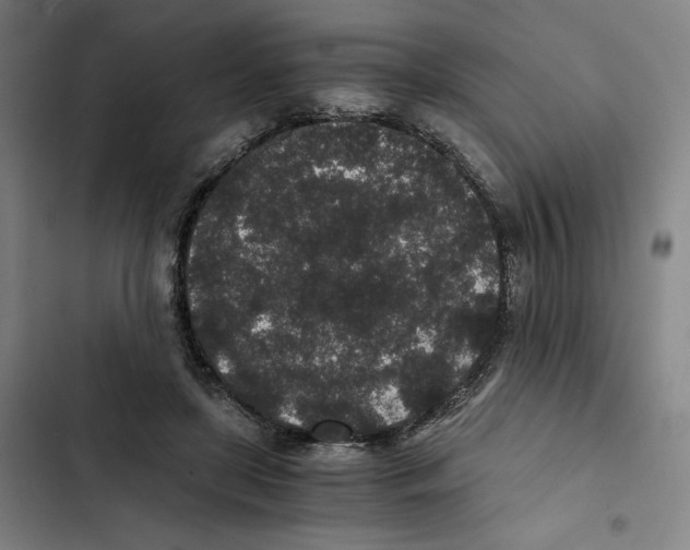 X0000102340451200808291141