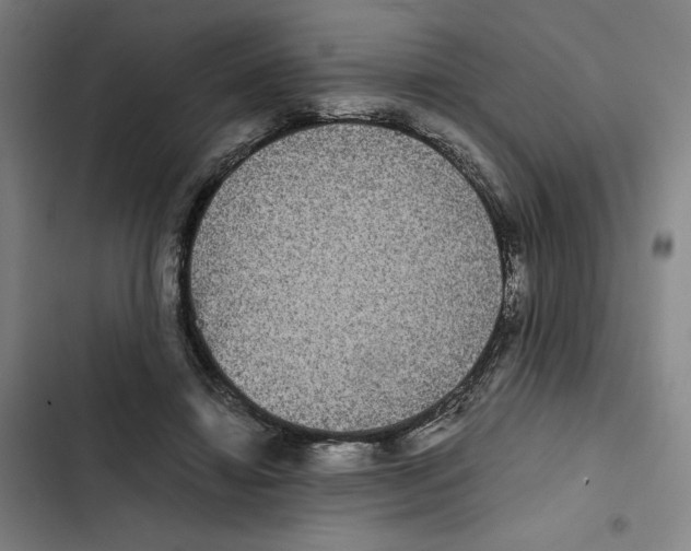 X0000102340452200808291141