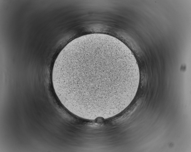 X0000102340453200808291141