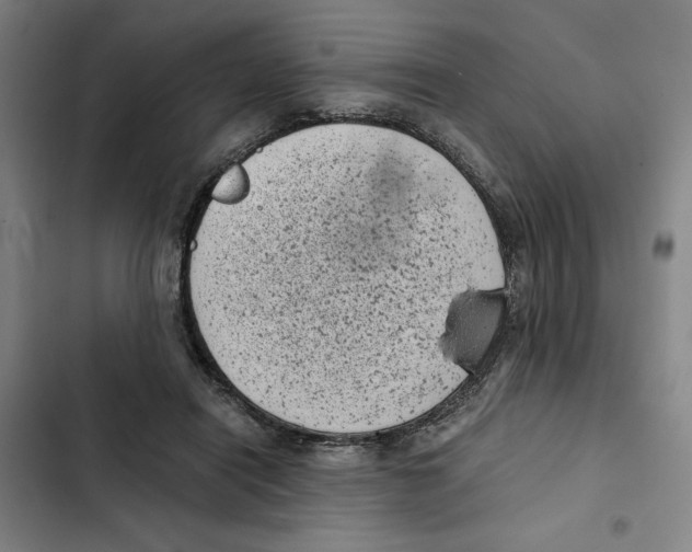 X0000102340454200808291141