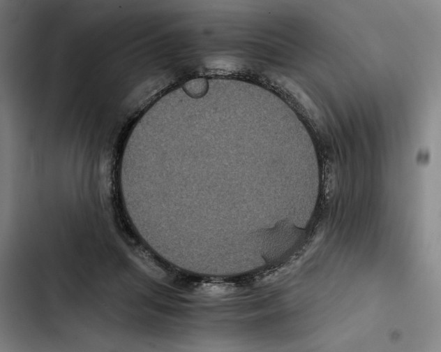 X0000102340455200808291141