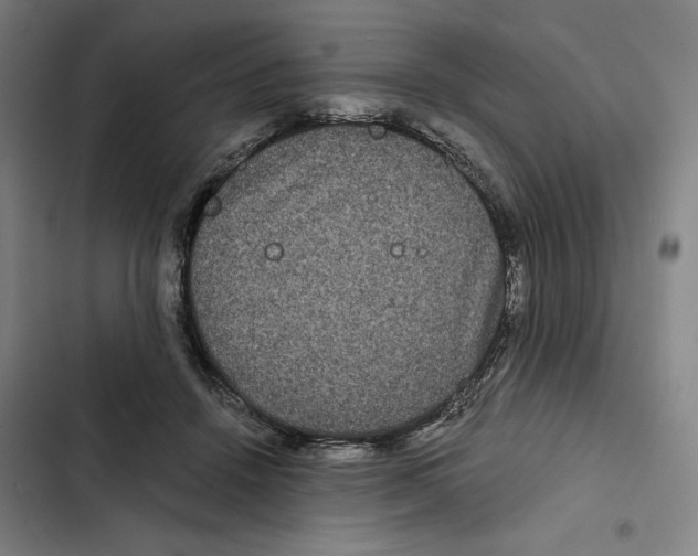 X0000102340456200808291141