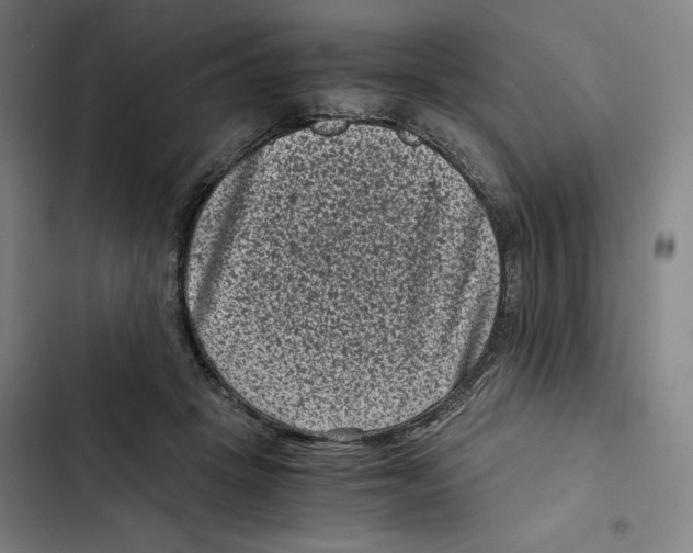 X0000102340457200808291141